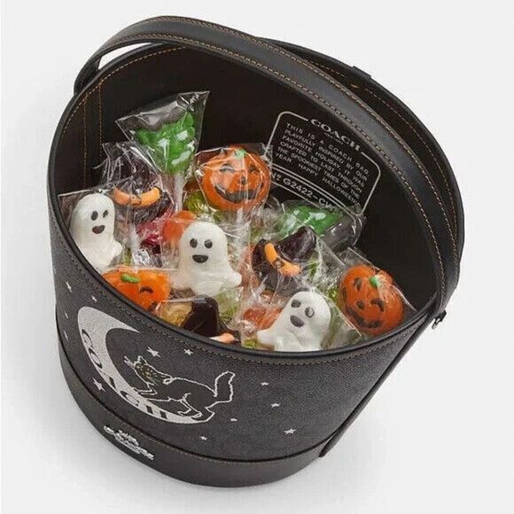 Coach Trick Or Treat Bucket In Signature Canvas Halloween Black Cat Graphic NWT - Picture 4 of 5